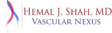 Vascular Nexus